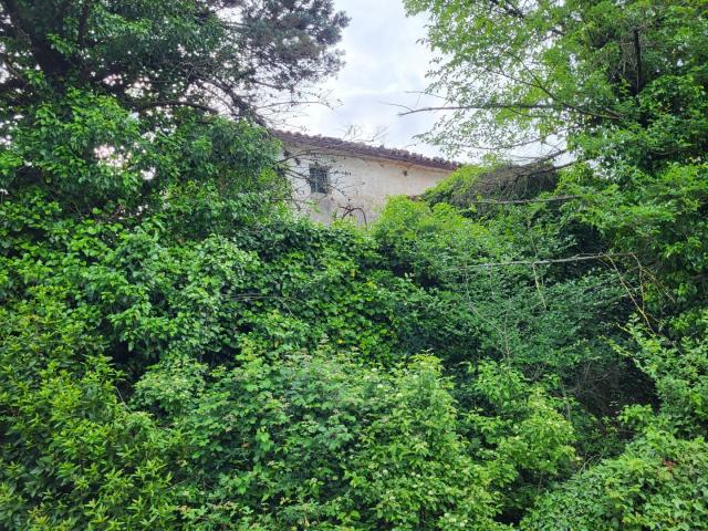 ISTRIA, PIĆAN - Two stone buildings with a garden