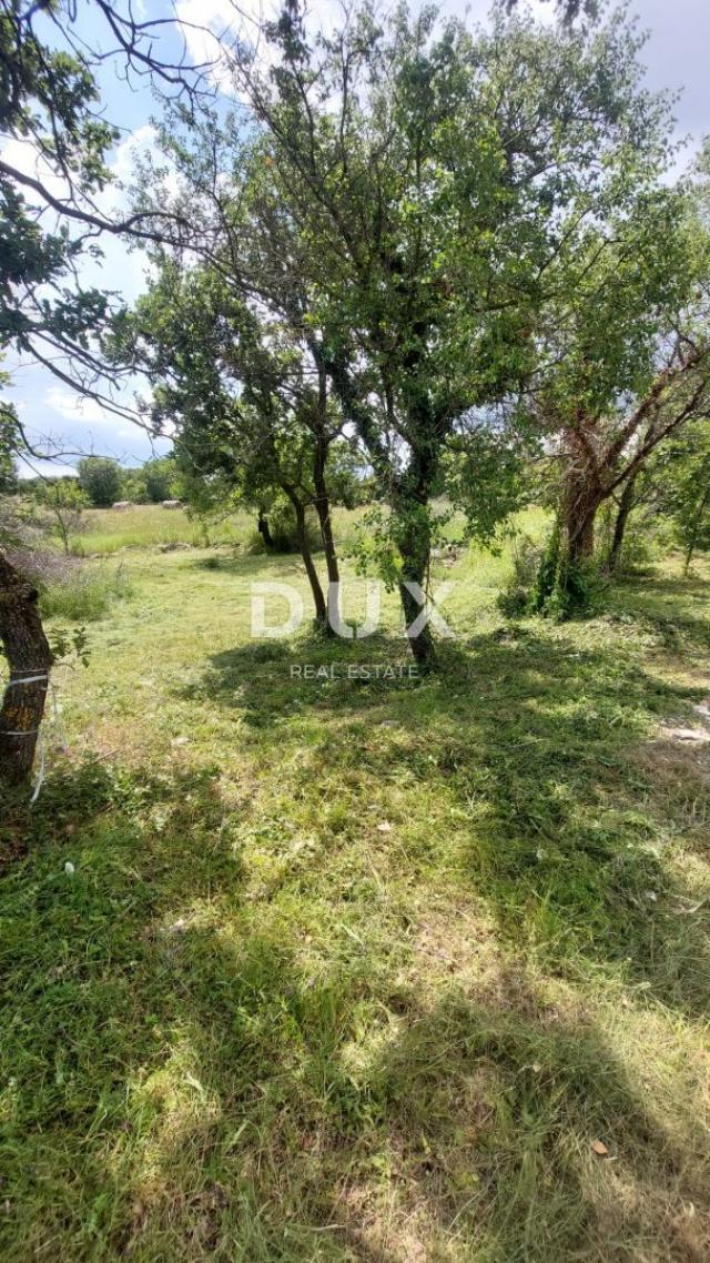 ISTRA, BARBAN (OKOLICA) - Građevinsko zemljište 3 kilometara od mora