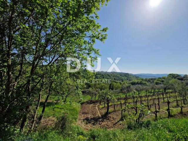 ISTRIA, CEROVLJE - Building plot with an open view of the greenery