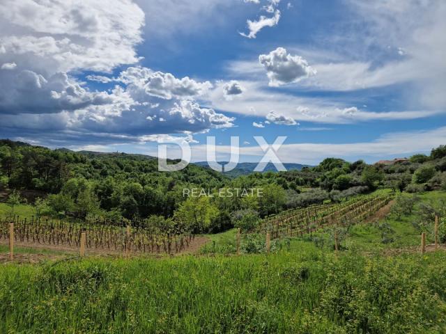 ISTRIA, CEROVLJE - Building plot with an open view of the greenery