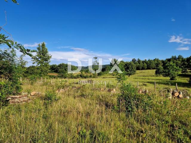 ISTRIA, GROŽNJAN - Spacious land on the edge of the village