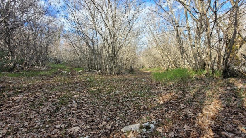 Land Garica, Vrbnik, 3.800m2