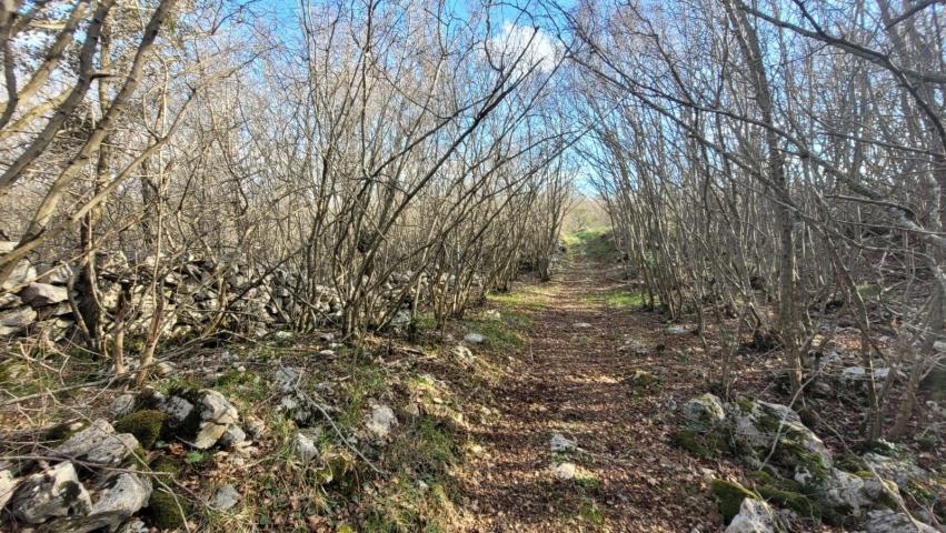 OTOK KRK, GARICA - Veliko Poljoprivredno zemljište s pristupom za auto 5km od grada Krka!