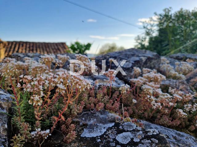 ISTRA, LIVADE (OKOLICA) - Kamene starine s panoramskim pogledom 