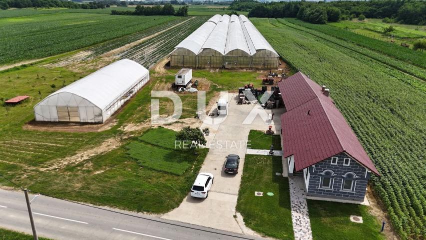 VIROVITICA, PITOMAČA - A spacious property for vegetable production, with a house and additional plo