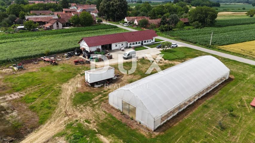 VIROVITICA, PITOMAČA - A spacious property for vegetable production, with a house and additional plo