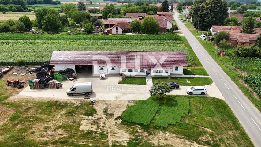 VIROVITICA, PITOMAČA - A spacious property for vegetable production, with a house and additional plo