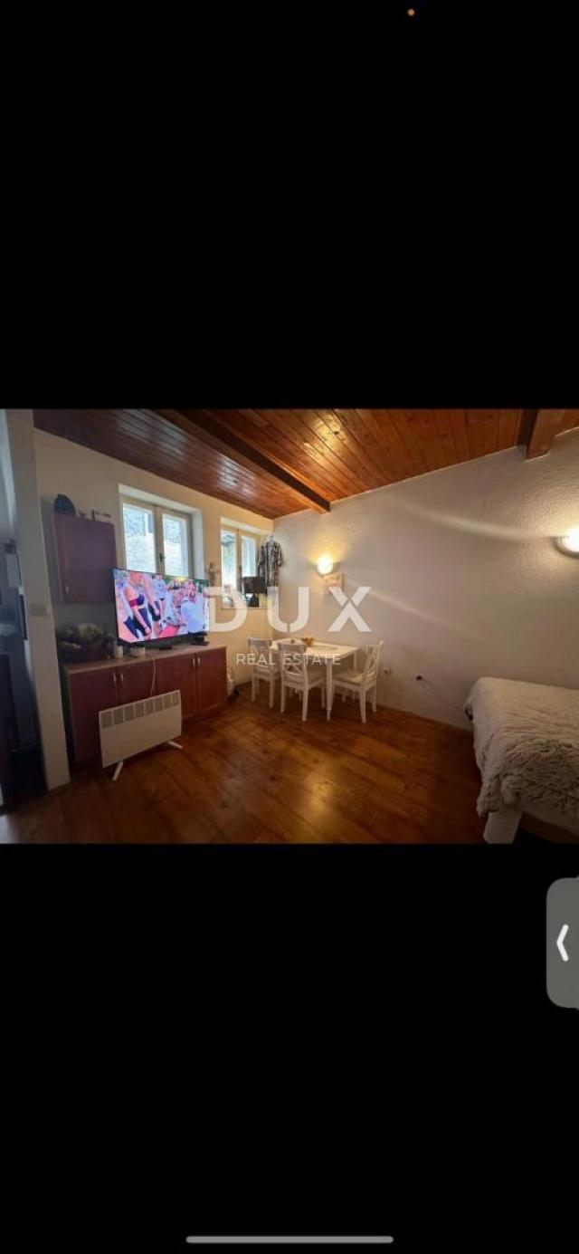 ISTRA, ROVINJ - Poslovni prostor i apartmn u Careri