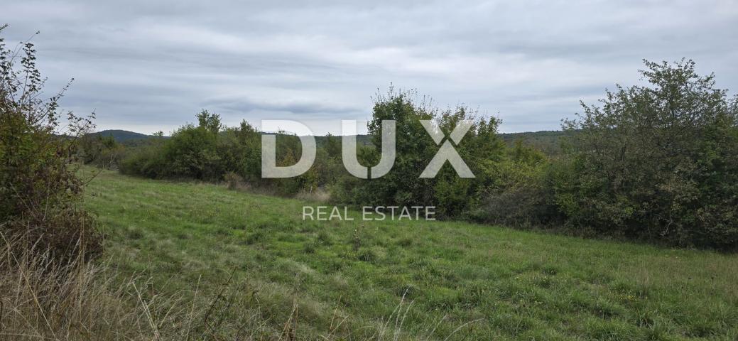 ISTRIA, GROŽNJAN - Building plot with panoramic view