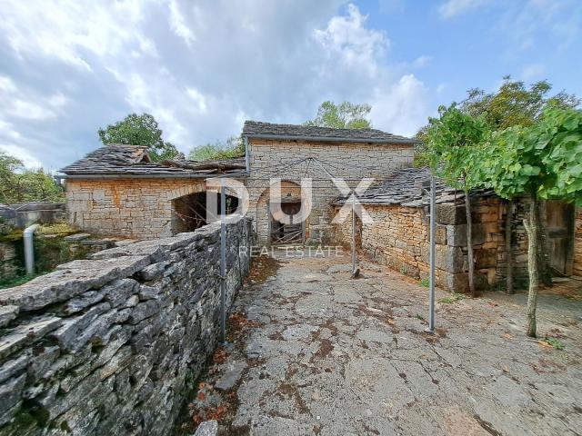 ISTRIA, GROŽNJAN, SURROUNDINGS - old house with land of 60,000 m2