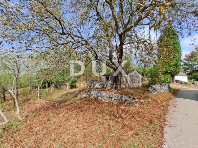 ISTRIA, GROŽNJAN, SURROUNDINGS - old house with land of 60,000 m2