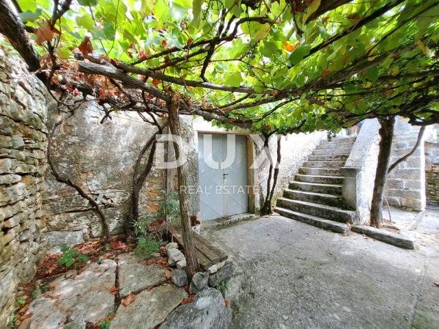 ISTRIA, GROŽNJAN, SURROUNDINGS - old house with land of 60,000 m2