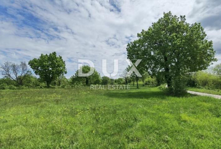 Land Sveti Ivan, Višnjan, 2.005m2