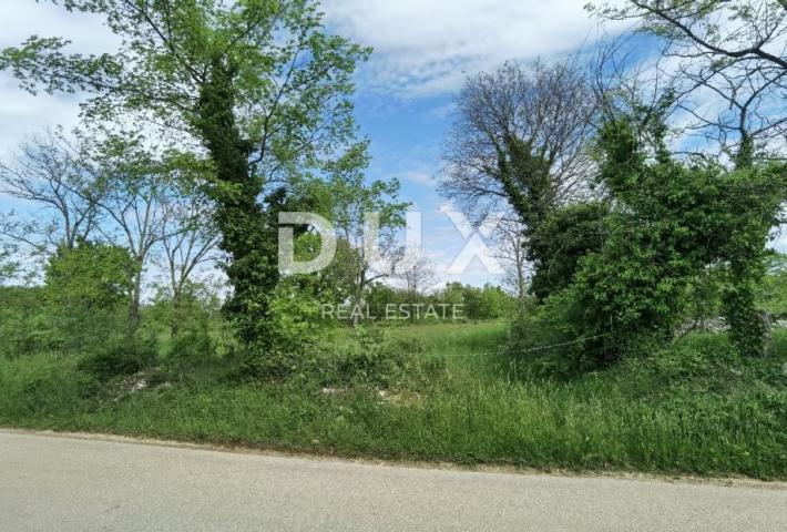 ISTRIA, VIŠNJAN - BUILDING LAND FOR BUILDING VILLAS OR HOLIDAY HOUSES