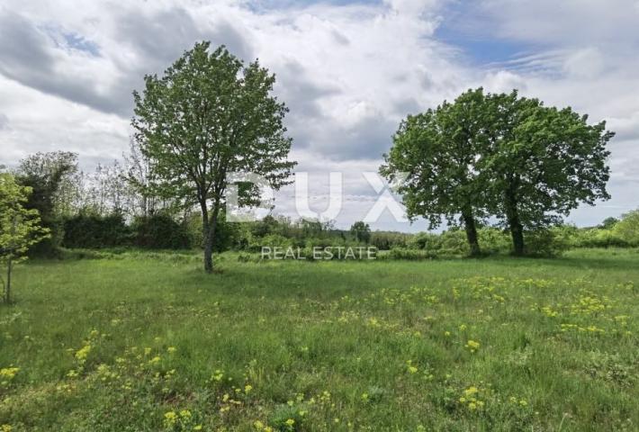 ISTRIEN, VIŠNJAN - BAUGRUNDSTÜCK ZUM BAU VON VILLEN ODER FERIENHAUSERN