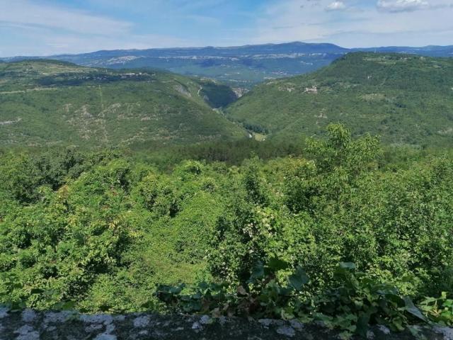 ISTRA, BUZET(OKOLICA)-Simpatična kamena kuća s predivnim pogledom