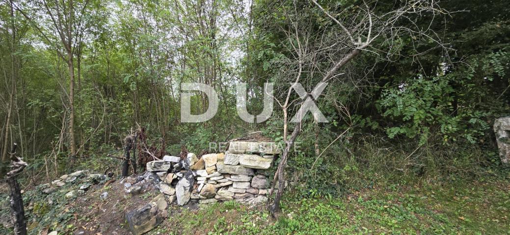 ISTRIA, GROŽNJAN - Building plot on the edge of the village