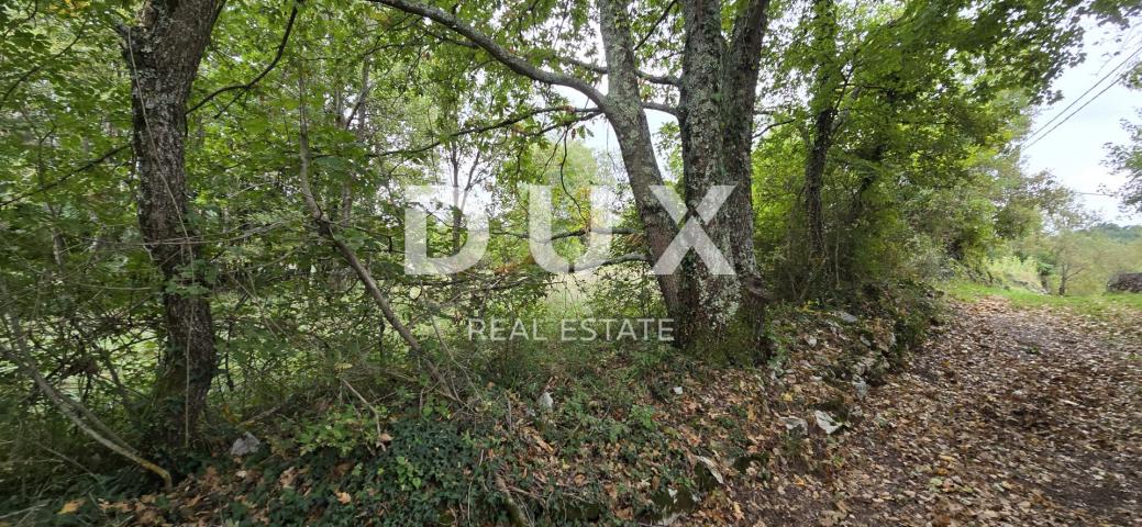 ISTRIA, GROŽNJAN - Building plot on the edge of the village