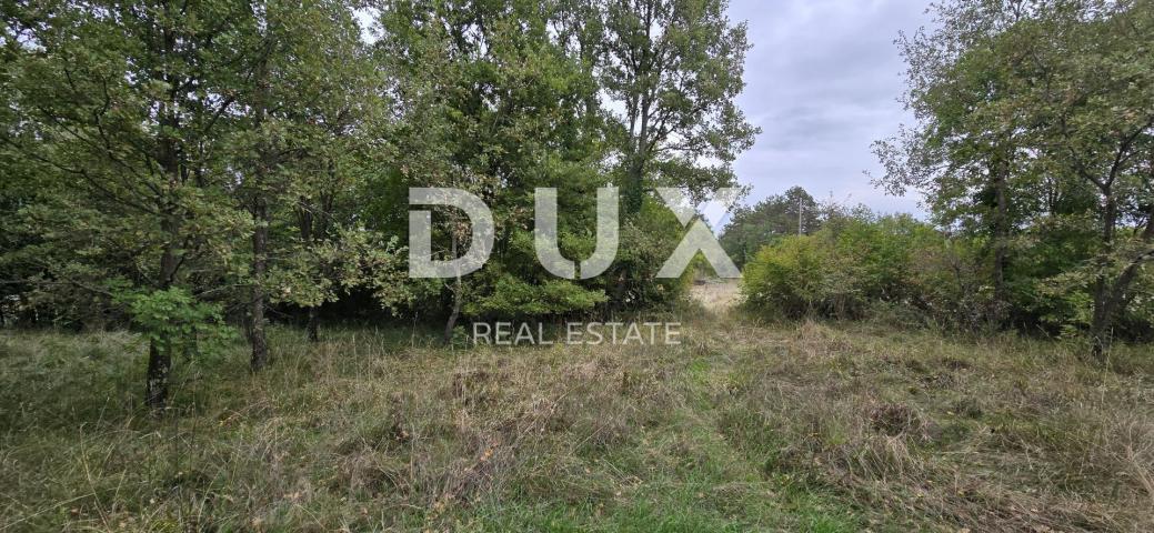 ISTRIA, GROŽNJAN - Building plot on the edge of the village