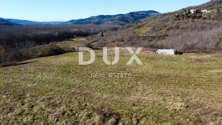 ISTRA, MOTOVUN - Građevinsko zemljište 1970 m2 sa pogledom na Motovun, na osami