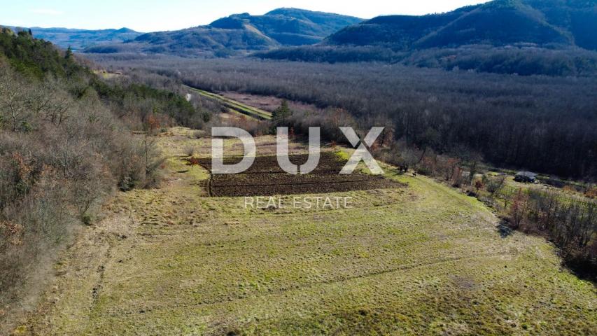 ISTRIEN, MOTOVUN - Baugrundstück 1970 m2 mit Blick auf Motovun, abgelegen