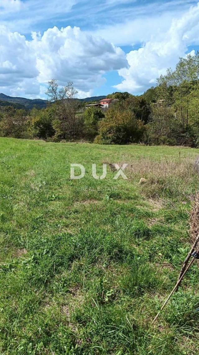 ISTRIA, BUTONIGA - Cultivable arable land 8,778m2