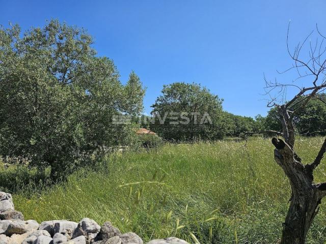 A large fenced building plot in the vicinity of Vodnjan