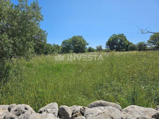 A large fenced building plot in the vicinity of Vodnjan