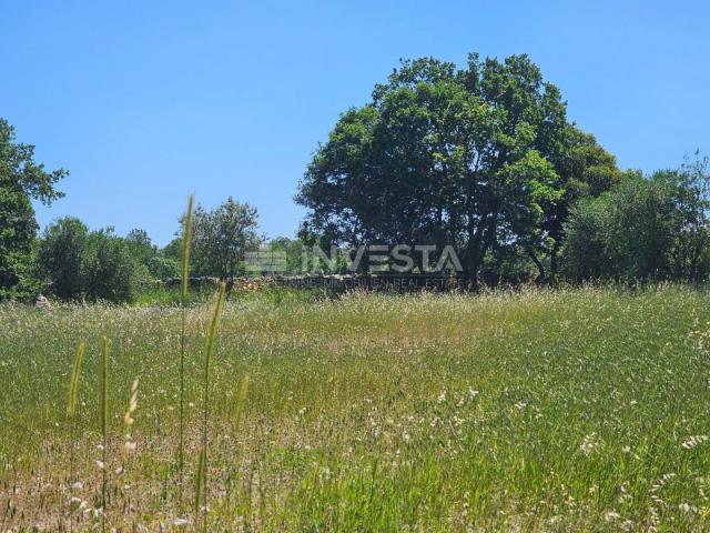 A large fenced building plot in the vicinity of Vodnjan