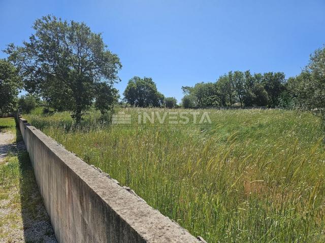 A large fenced building plot in the vicinity of Vodnjan