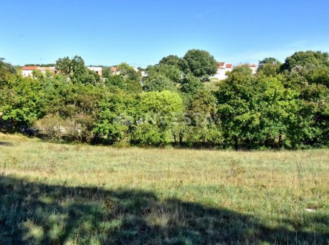 OPPORTUNITY!!! A spacious building plot in the vicinity of Vodnjan