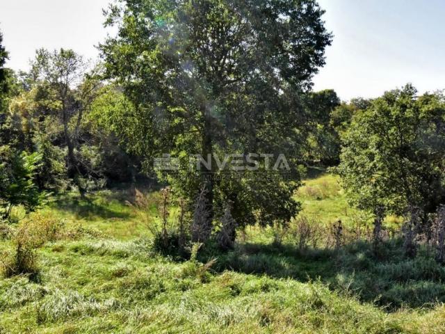 OPPORTUNITY!!! A spacious building plot in the vicinity of Vodnjan