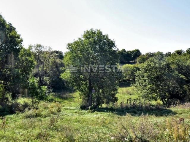 OPPORTUNITY!!! A spacious building plot in the vicinity of Vodnjan