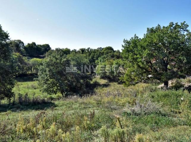 OPPORTUNITY!!! A spacious building plot in the vicinity of Vodnjan