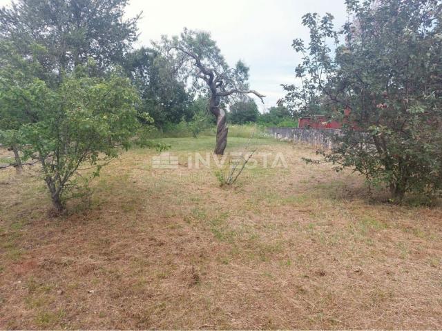 Surroundings of Poreč, autochthonous stone house with a spacious garden