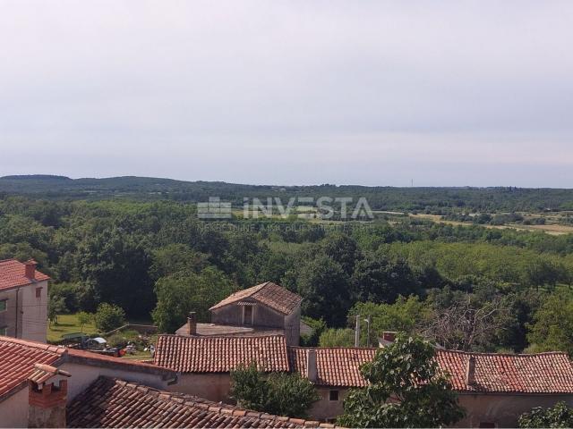 Surroundings of Poreč, autochthonous Istrian holiday house, spacious garden