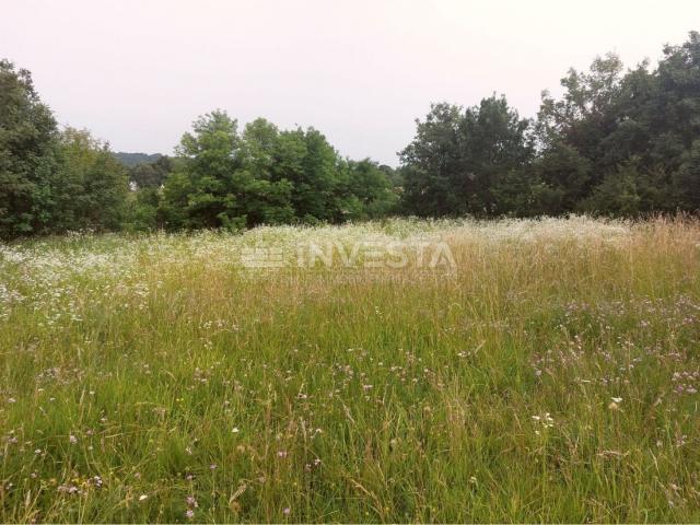 Tinjan, Building Land 3197 m² + 971 m² Agricultural Land