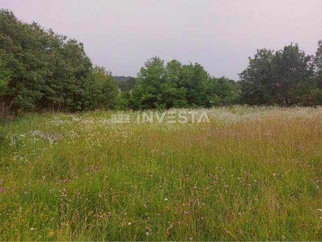 Tinjan, Building Land 3197 m² + 971 m² Agricultural Land