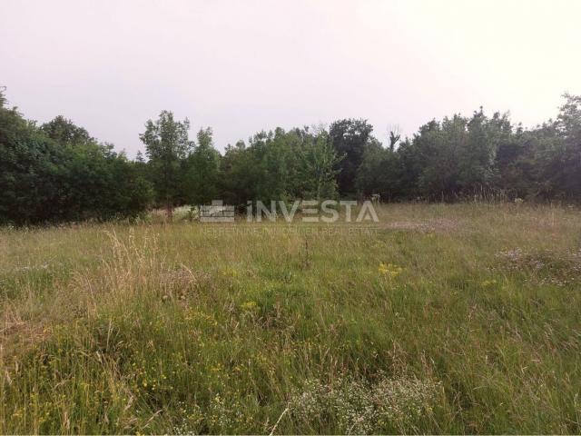 Tinjan, Building Land 3197 m² + 971 m² Agricultural Land