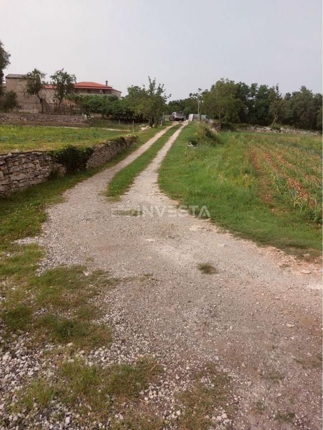 Tinjan, Building Land 3197 m² + 971 m² Agricultural Land