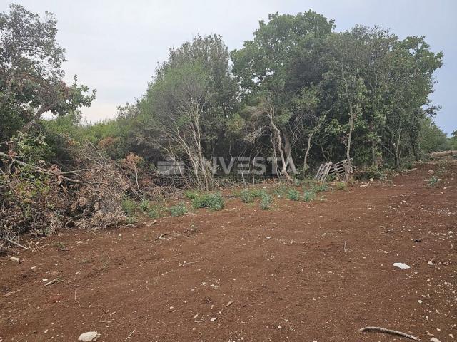 Barbariga, large building plot 1,236 m²