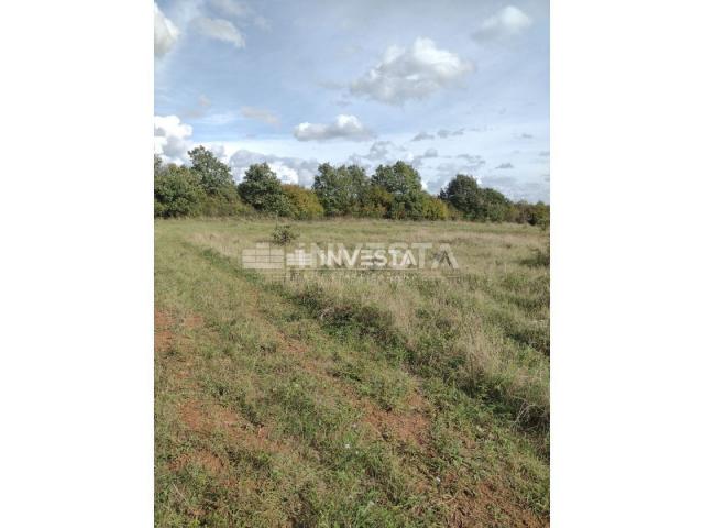 Tar, Agricultural land 10,000 m2