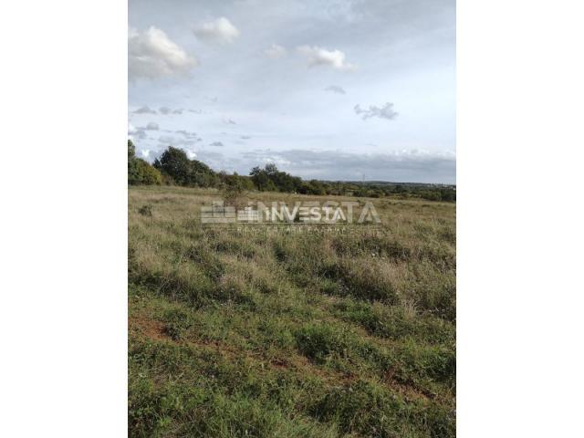 Tar, Agricultural land 10,000 m2