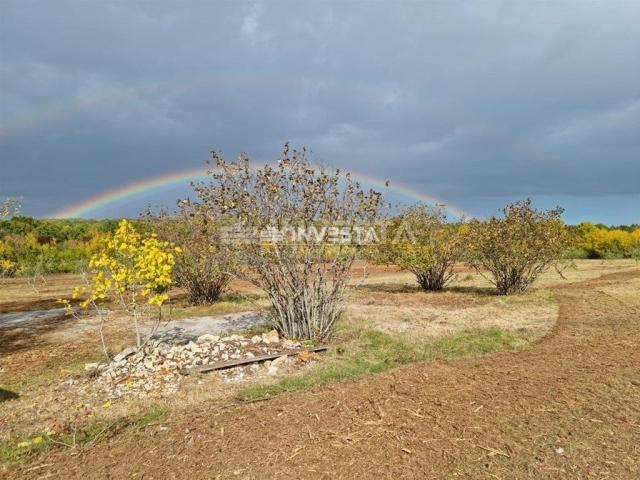 Parcelle Sveti Lovreč, 13.301m2