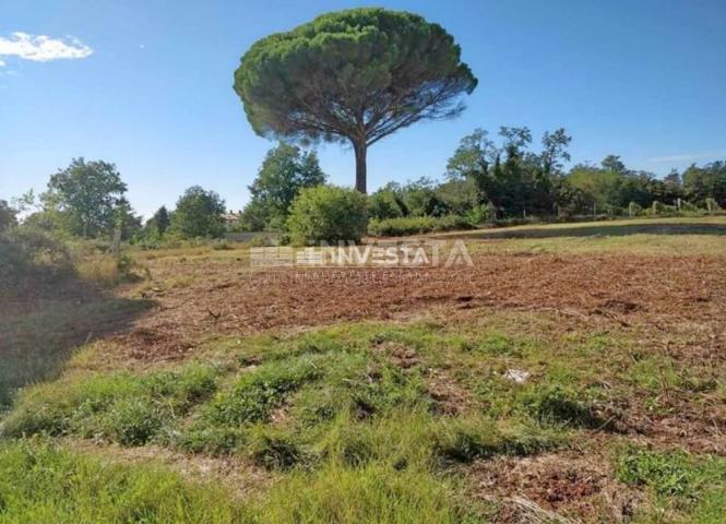 Poreč, Kaštelir, building plot of 4040 m2