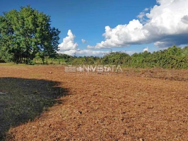 Poreč, Kaštelir, building plot of 4040 m2