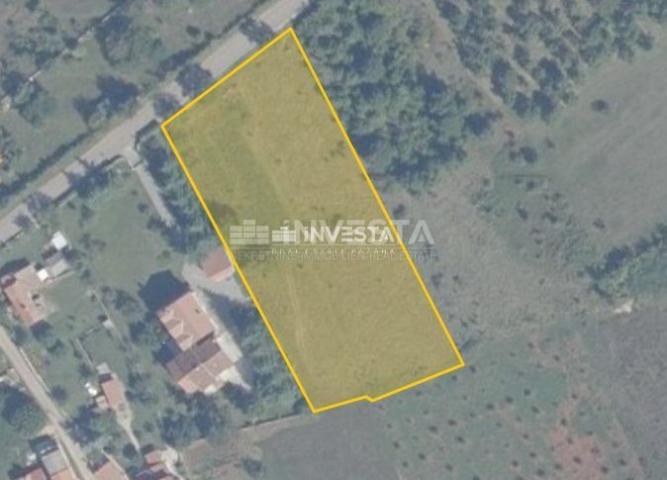 Višnjan okolica, građevinsko zemljište 5. 000 m2