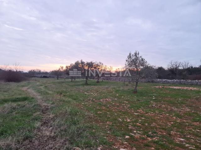 Land Vodnjan, 4.900m2