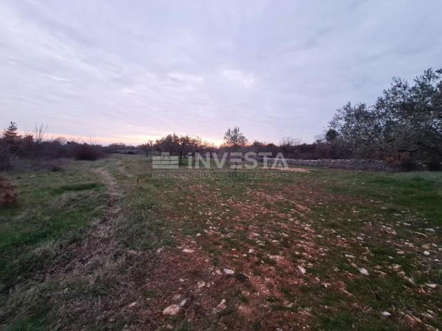 Land Vodnjan, 4.900m2