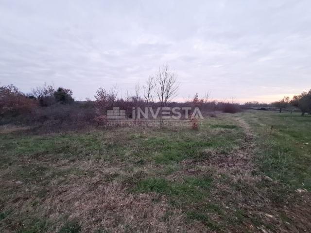 Land Vodnjan, 4.900m2